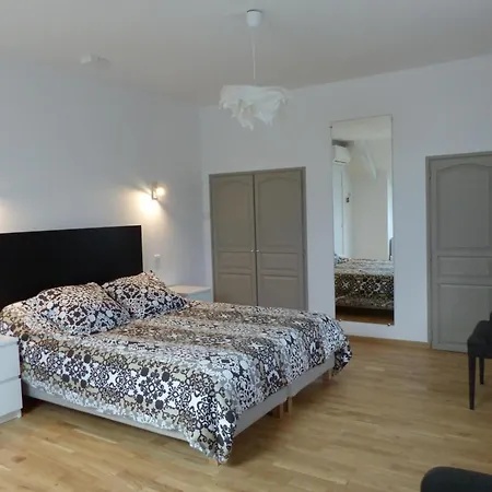 Confortable Avec Piscine Partagee A Hauterives - Fr-1-489-203 *